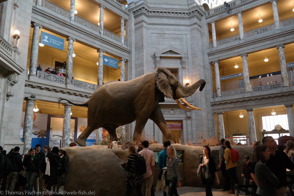 National Museum of Natural History (Smithsonian), Washington D.C. (03/08/2015)