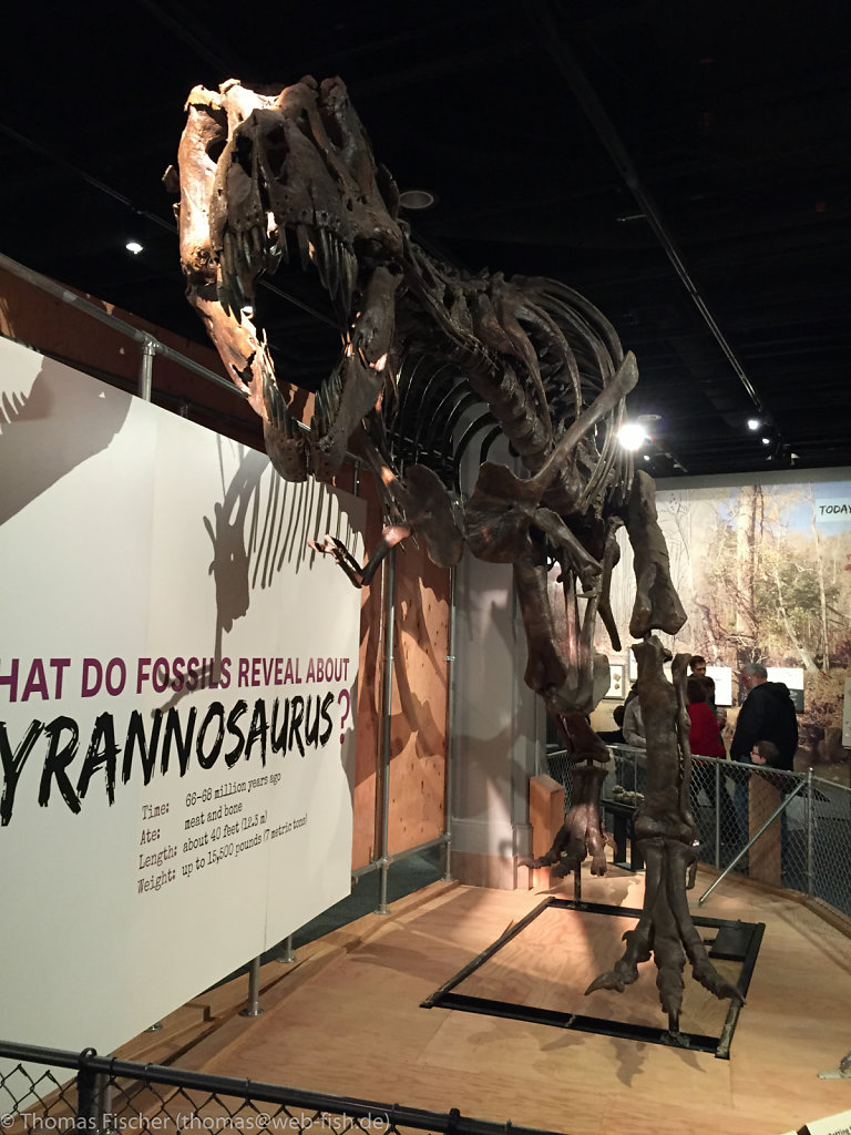 National Museum of Natural History (Smithsonian), Washington D.C. (03/08/2015)