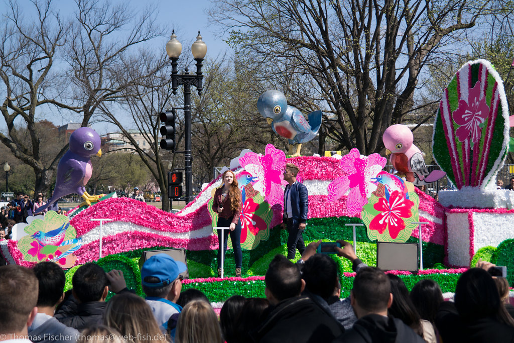 National Cherry Blossom Festival, Washington, D.C. (04/11/2015)