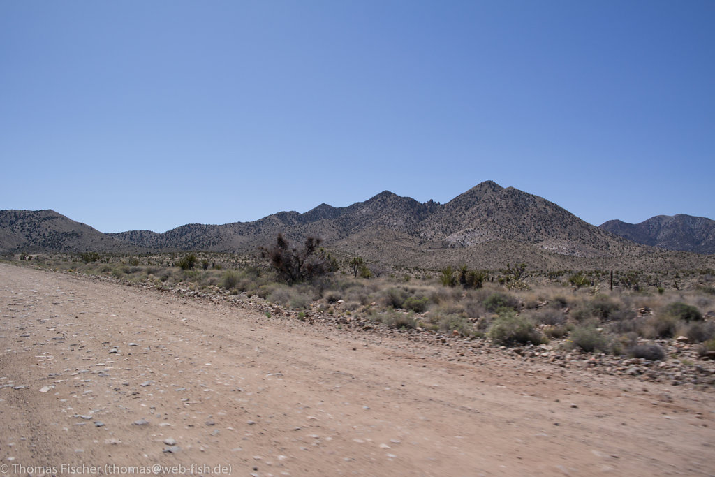 Mohave Desert, CA