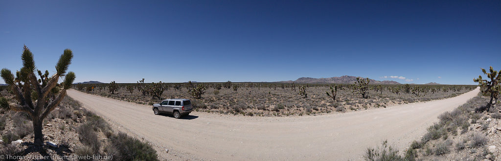 Mohave Desert, CA