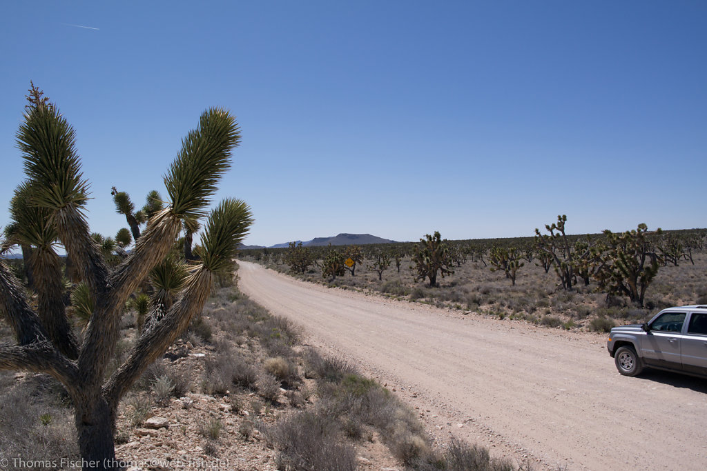 Mohave Desert, CA