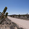 Mohave Desert, CA