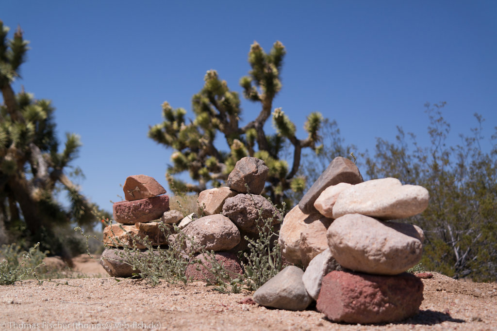 Mohave Desert, CA