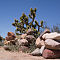 Mohave Desert, CA