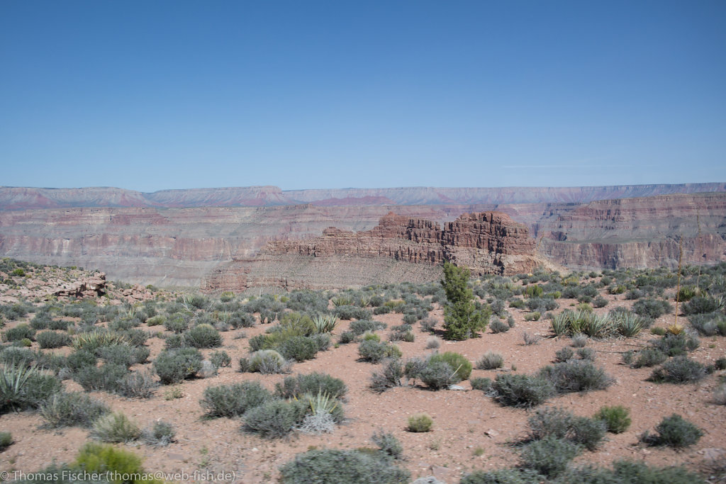 Grand Canyon West Rim, AZ