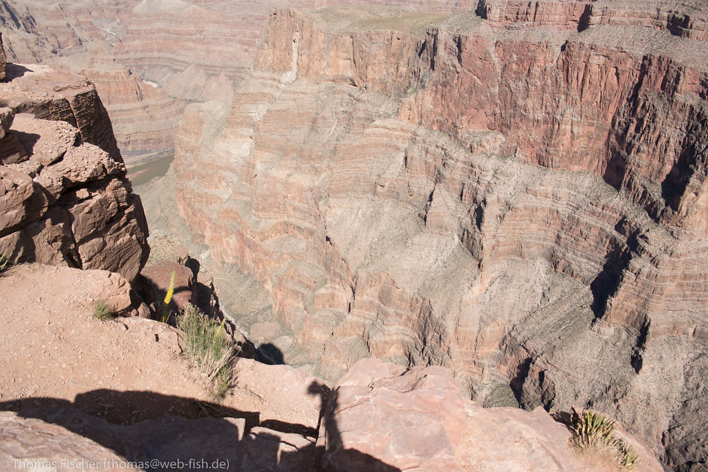 Grand Canyon West Rim, AZ