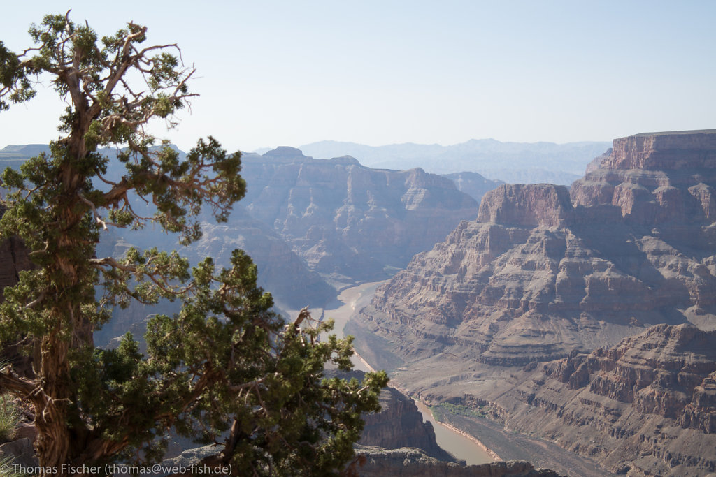 Grand Canyon West Rim, AZ