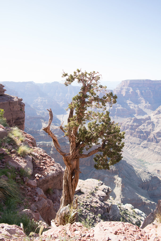 Grand Canyon West Rim, AZ