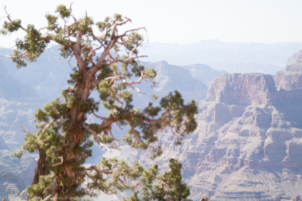 Grand Canyon West Rim, AZ