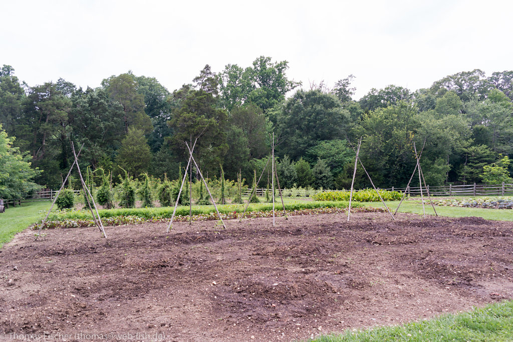 George Washington’s Mount Vernon, VA (07/03/2015)